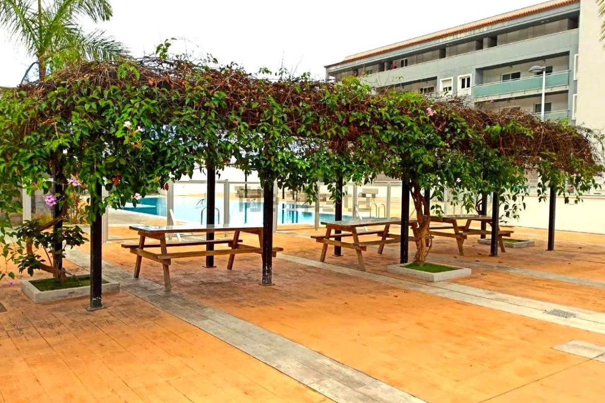 177d8bc6-0004133559.jpg