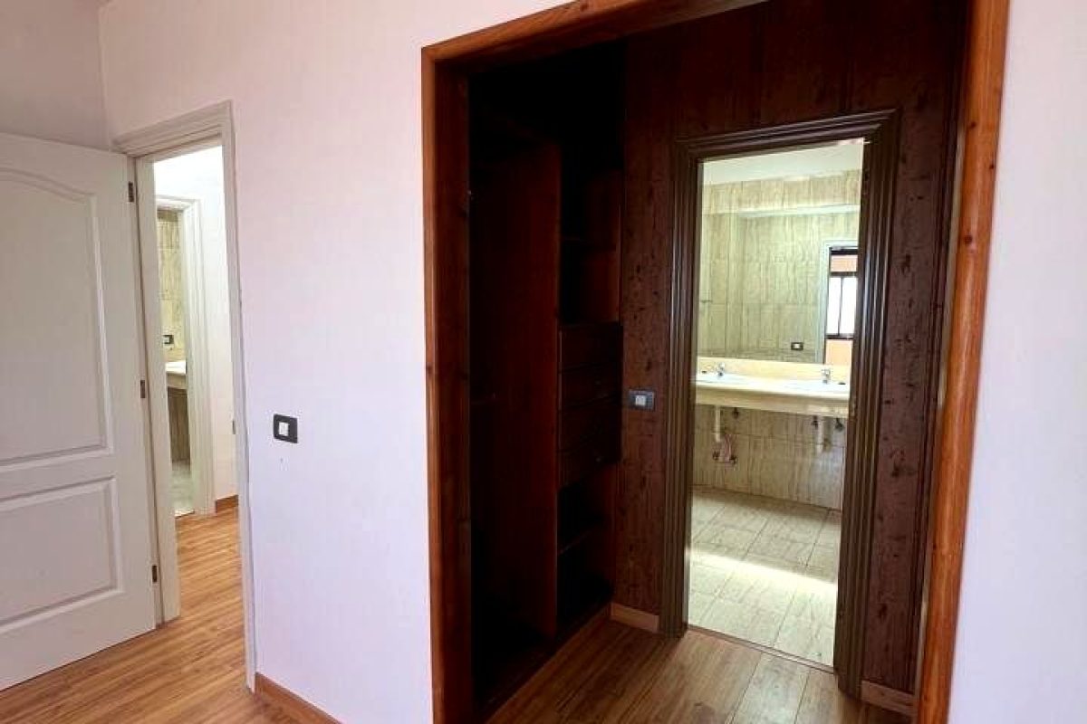 24952a3d-0004192292.jpg