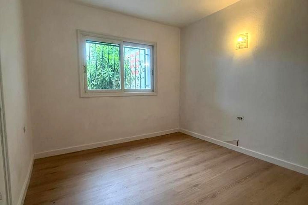 297701d6-0004186575.jpg