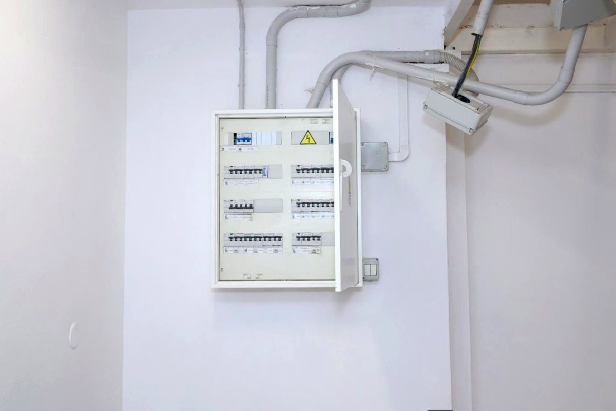 31e66edd-0004181259.jpg