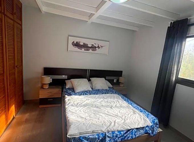 4115063-5d5be5bd.jpg