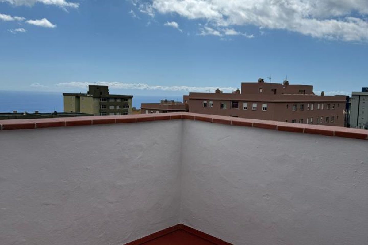 4127621-381a0308.jpg