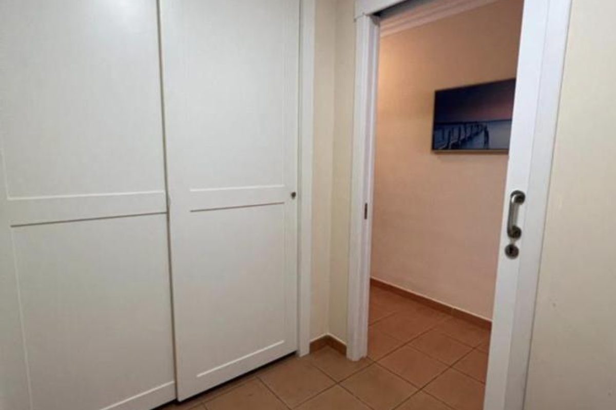 4137144-e2aa4449.jpg
