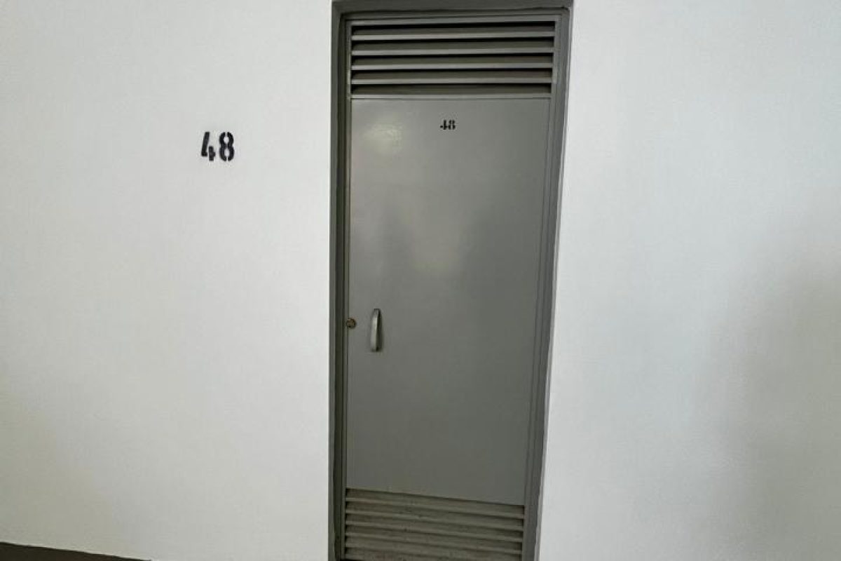 4140758-c19dd3e5.jpg