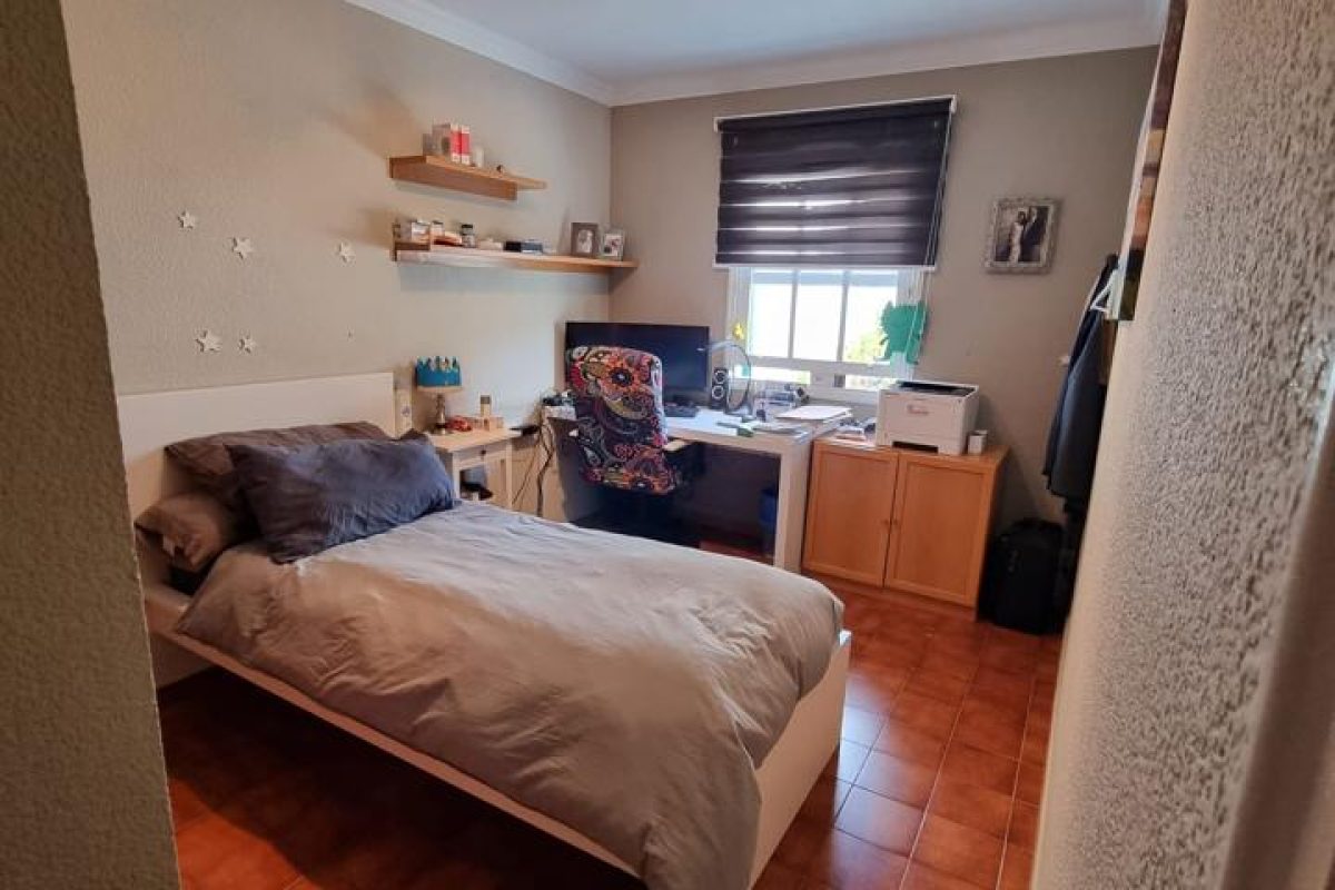 4155263-91f98768.jpg
