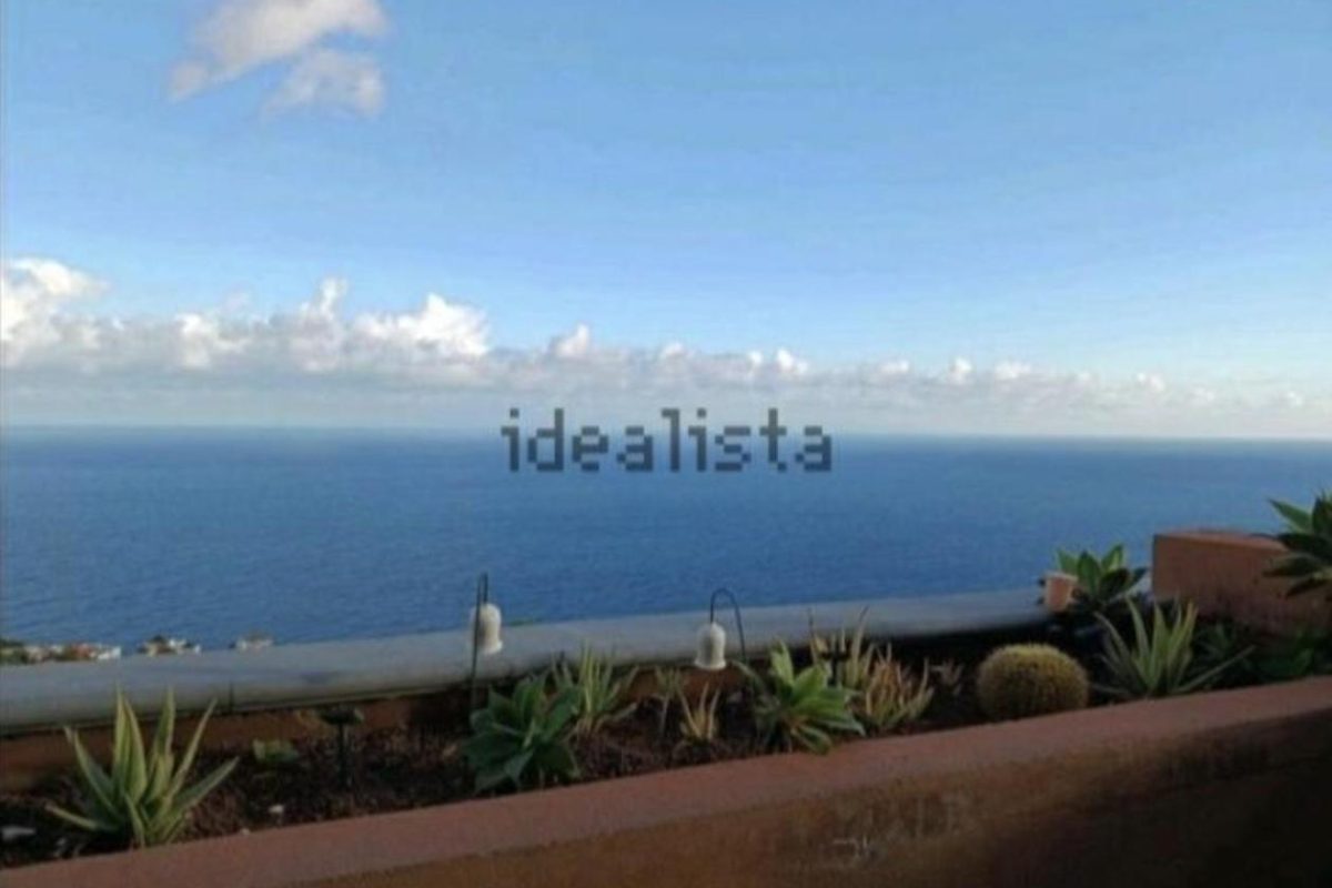 4156152-98403cda.jpg
