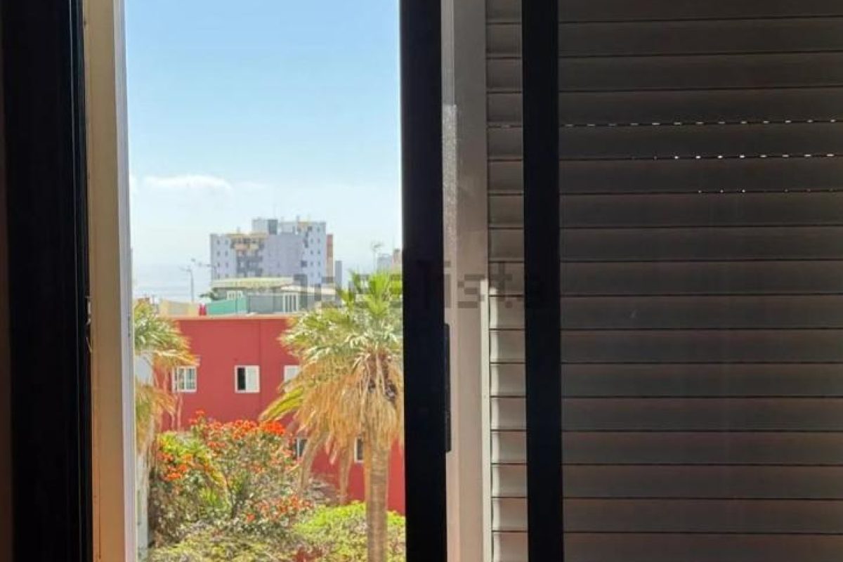 4157393-e01673d6.jpg
