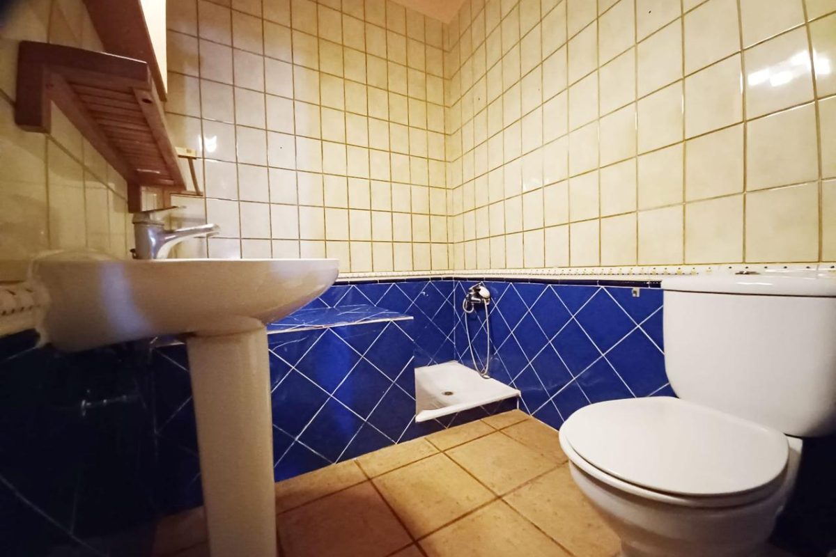 4157429-92dcb04c.jpg