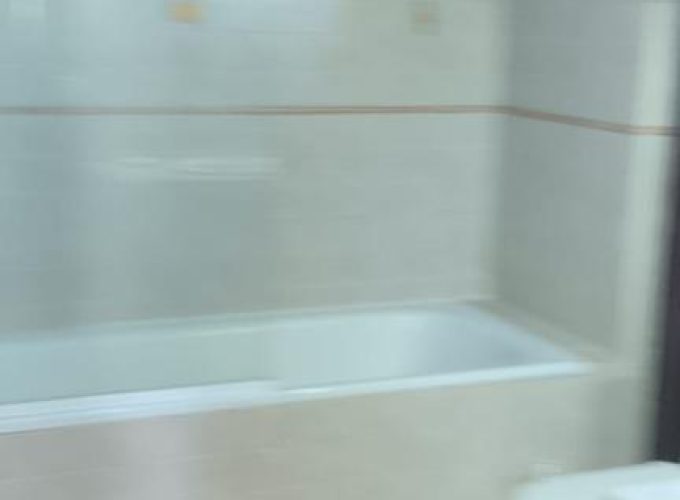 4161838-e61eda82.jpg