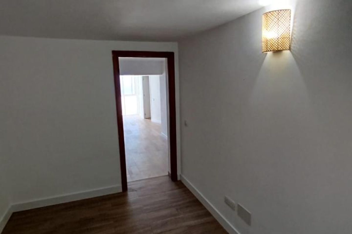 4161954-d08061ac.jpg