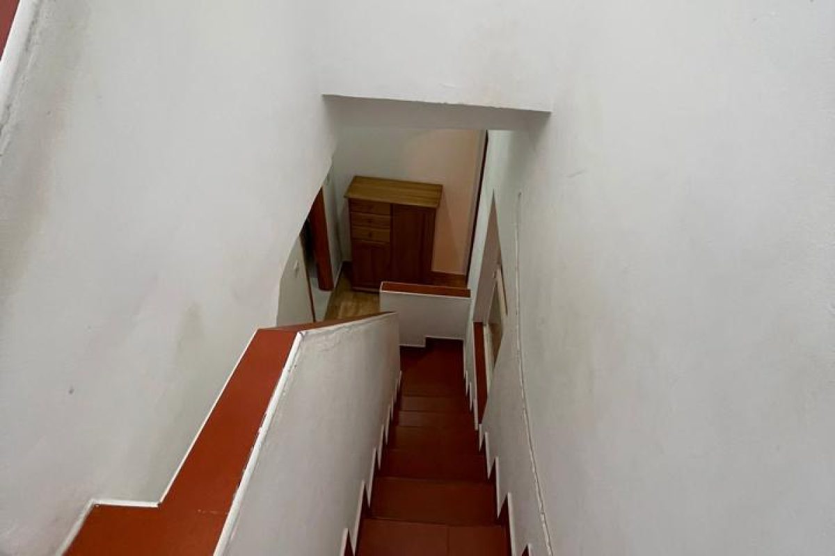 4161965-b5b99453.jpg
