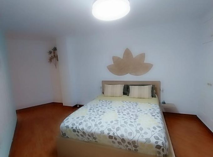 4163316-31d54812.jpg
