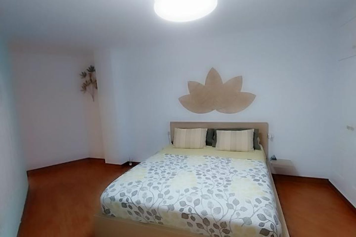 4163316-31d54812.jpg