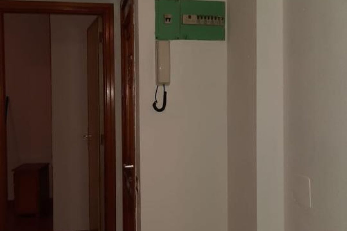 4165015-38ee7490.jpg