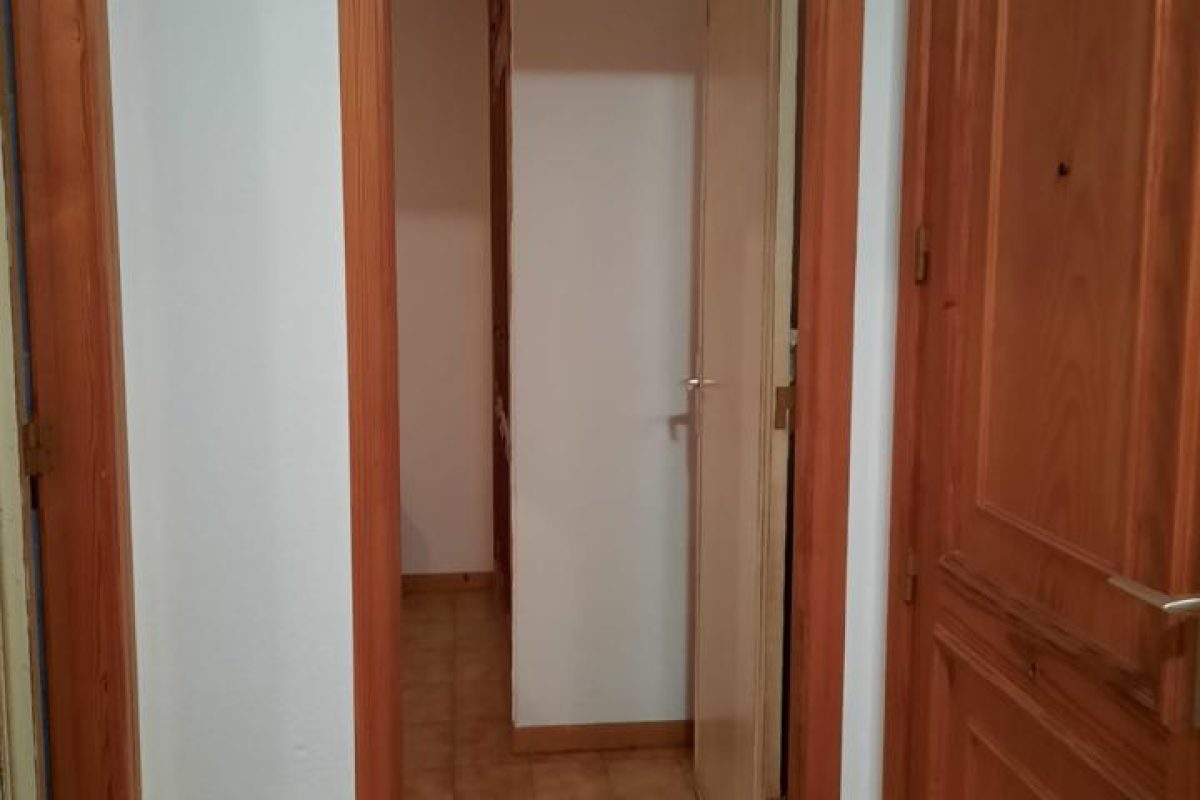 4165015-7df6a2ca.jpg
