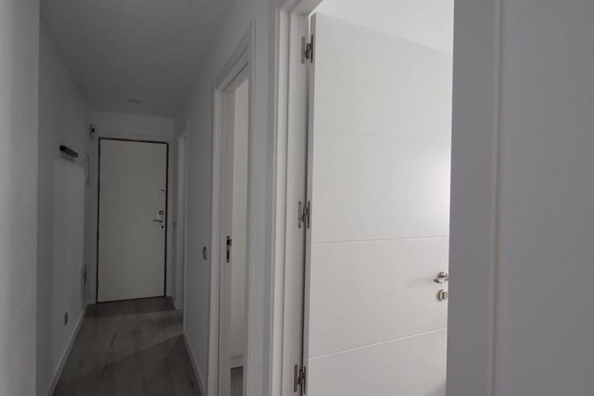 4170276-b6611918.jpg