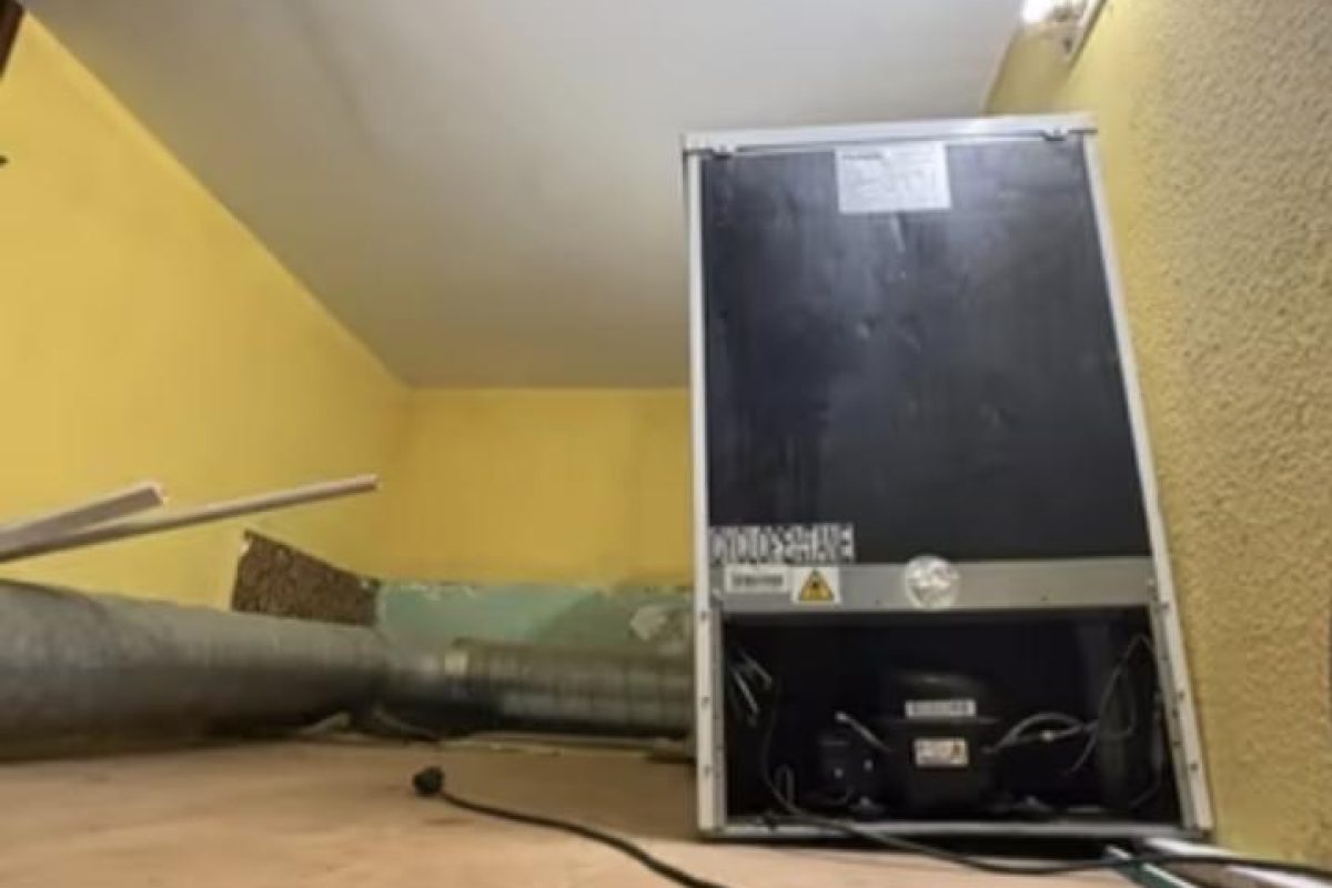 4178300-98e355e2.jpg