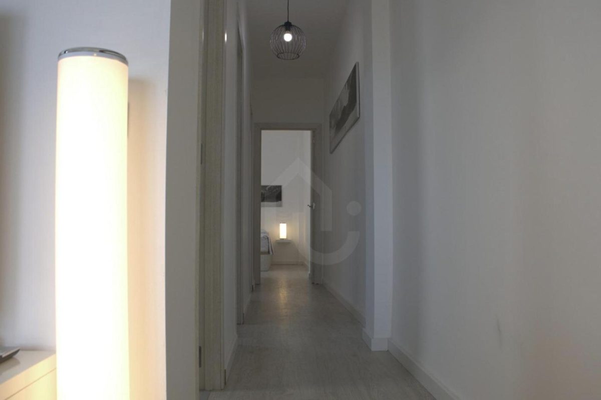 4181642-6096679d.jpg