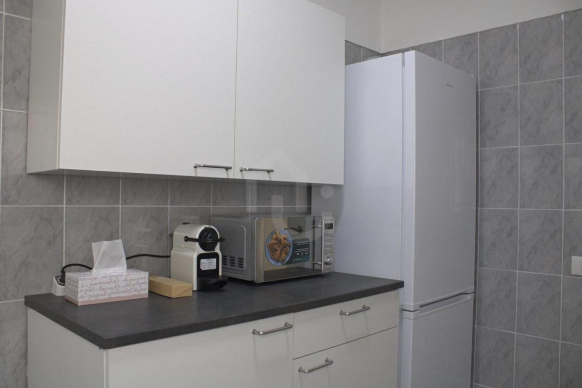4181642-e2cefeca.jpg