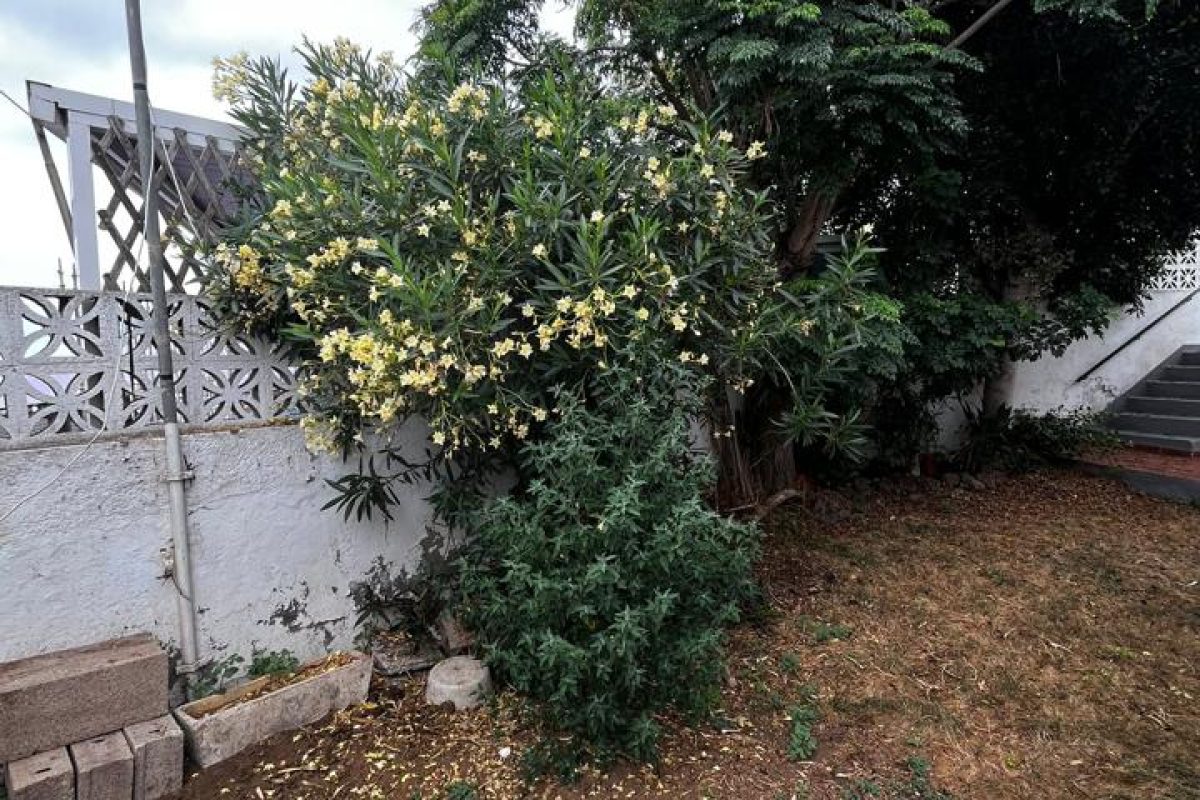4186575-15fa063d-1.jpg