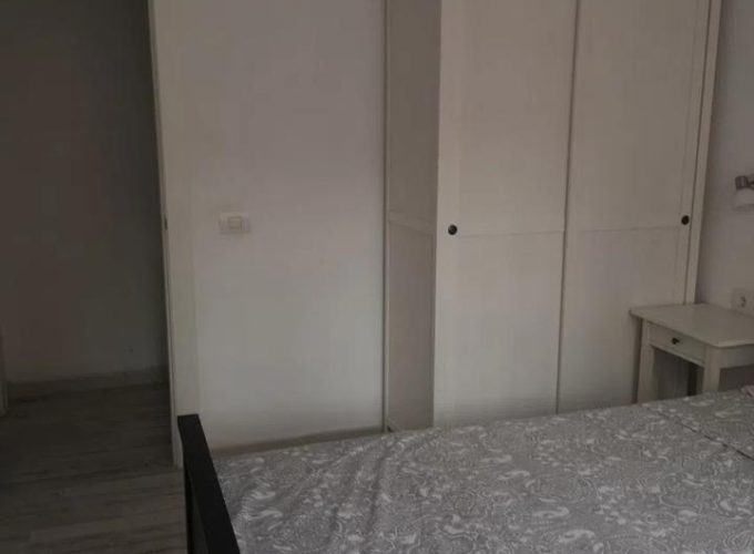 4198732-2d82542a.jpg