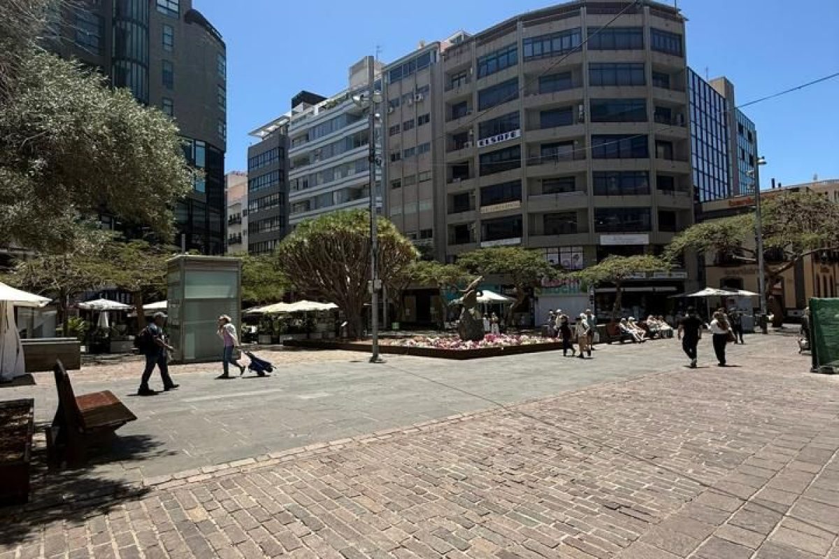 75cd4635-0004138667.jpg