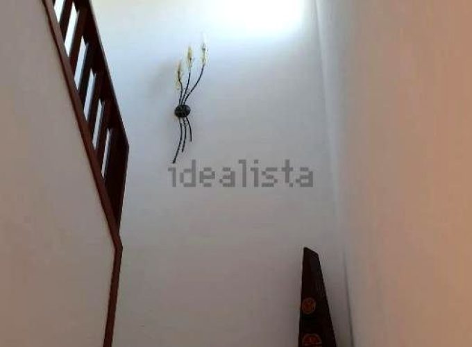 8431cb65-0004164894.jpg