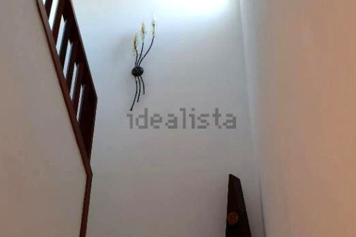8431cb65-0004164894.jpg