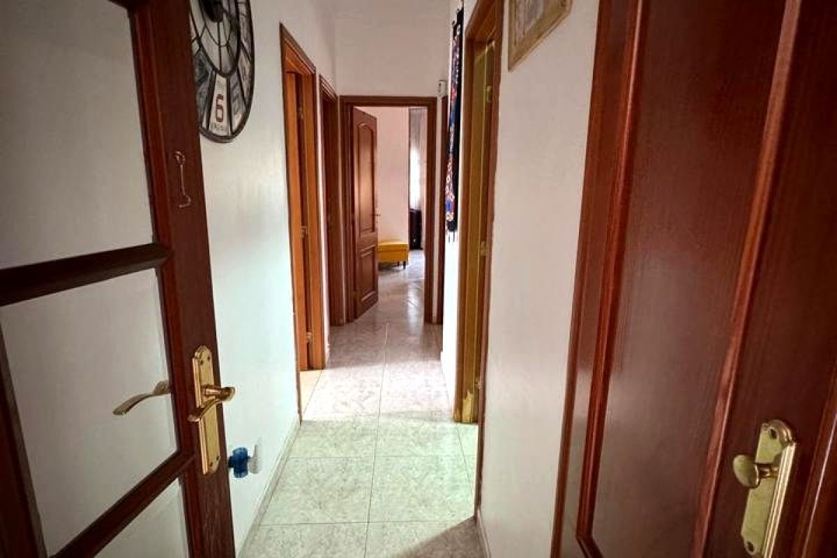 99b814d9-0004068674.jpg