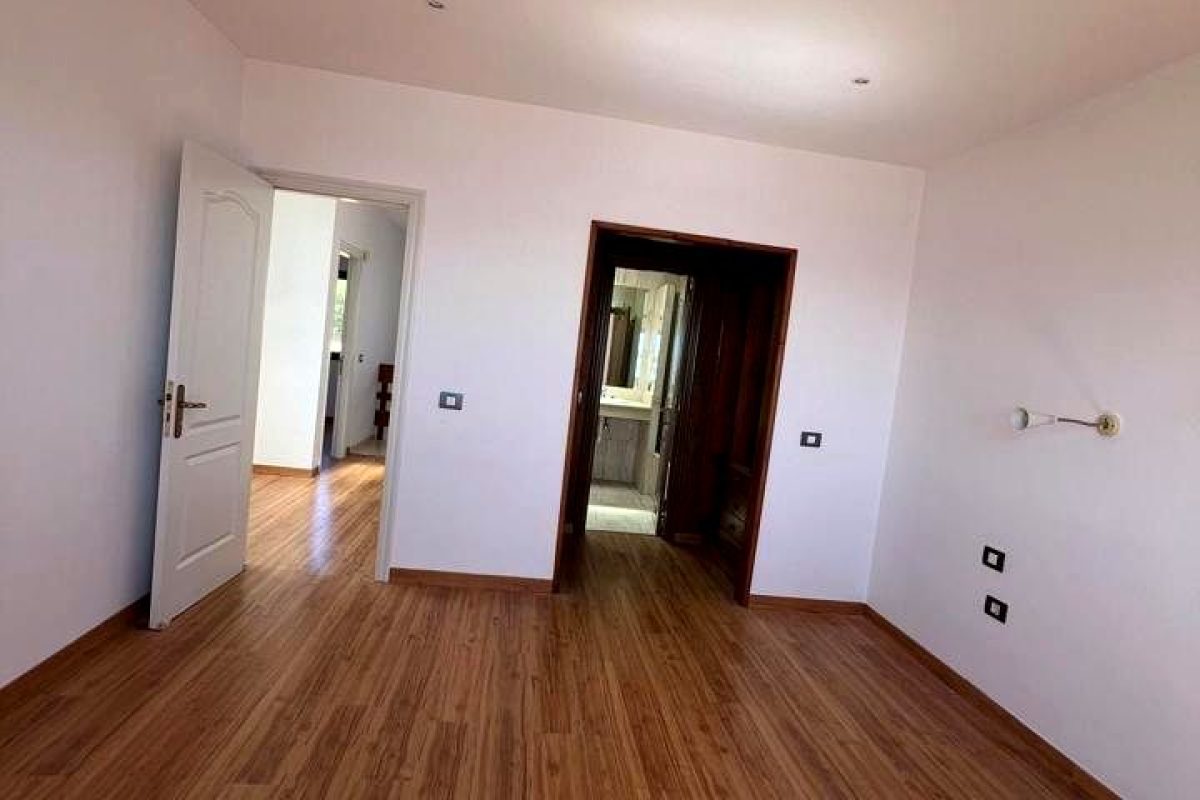 e220f875-0004192292.jpg